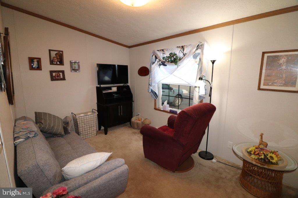 1233 VALLEY FORGE DRIVE