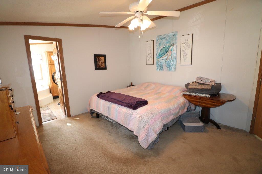 1233 VALLEY FORGE DRIVE