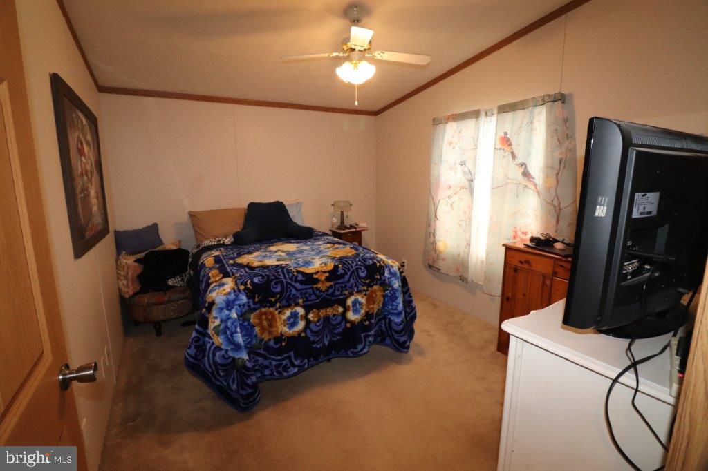 1233 VALLEY FORGE DRIVE