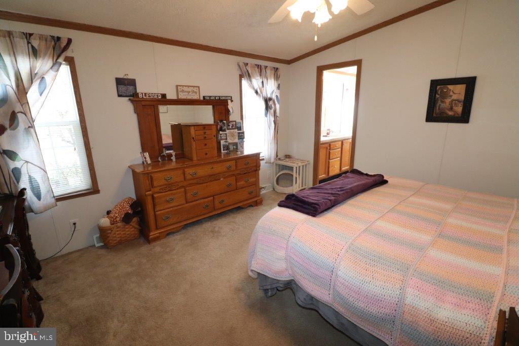 1233 VALLEY FORGE DRIVE