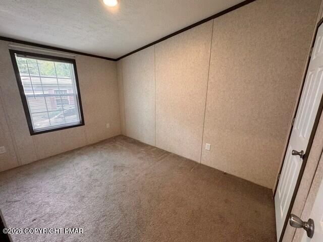 287 Birchwood Drive