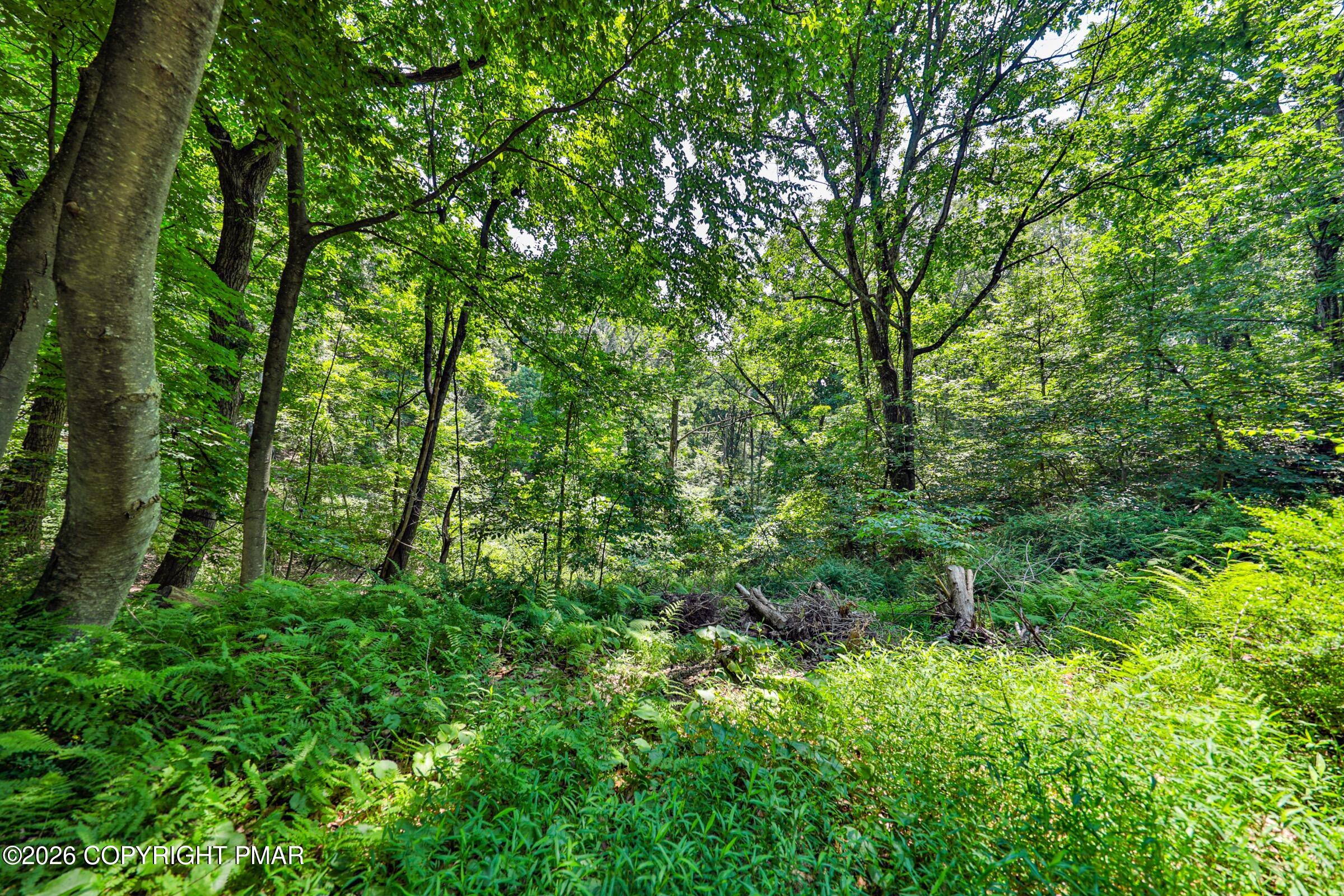 169 Dogwood Lane
