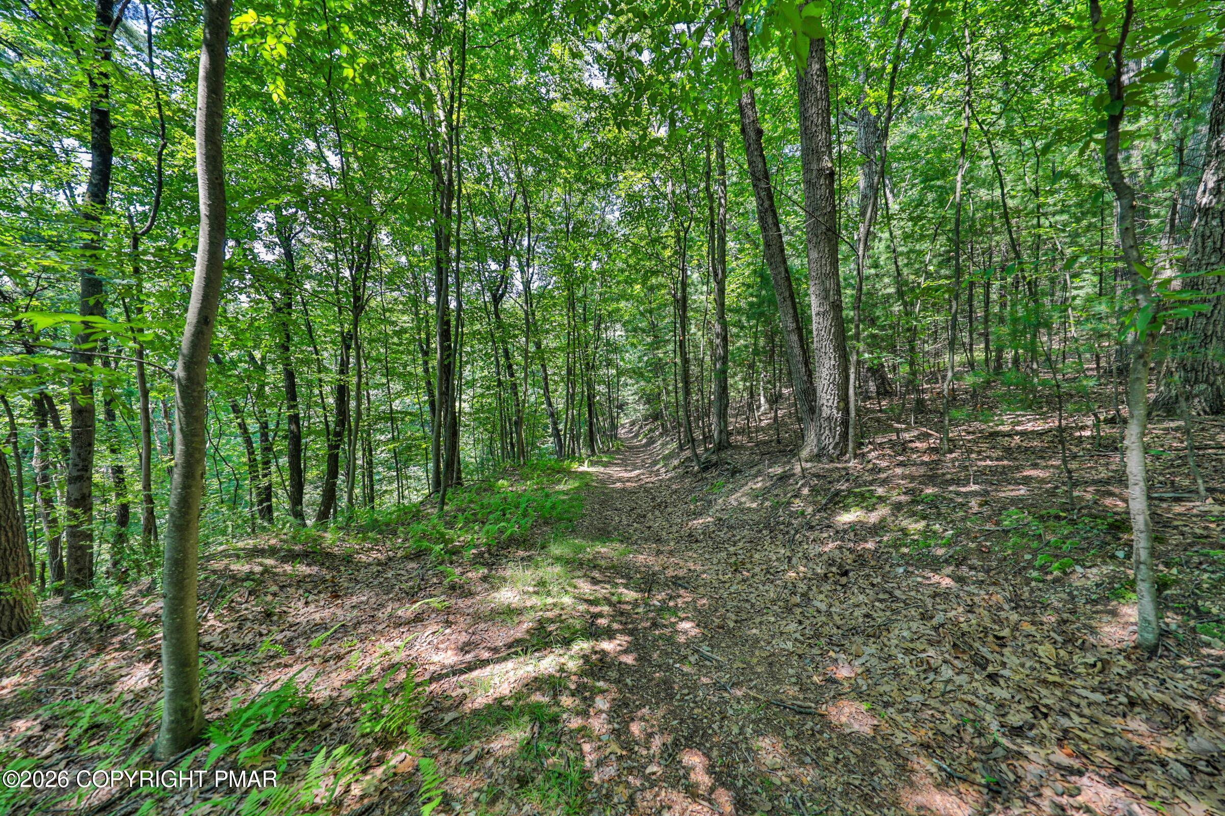 169 Dogwood Lane