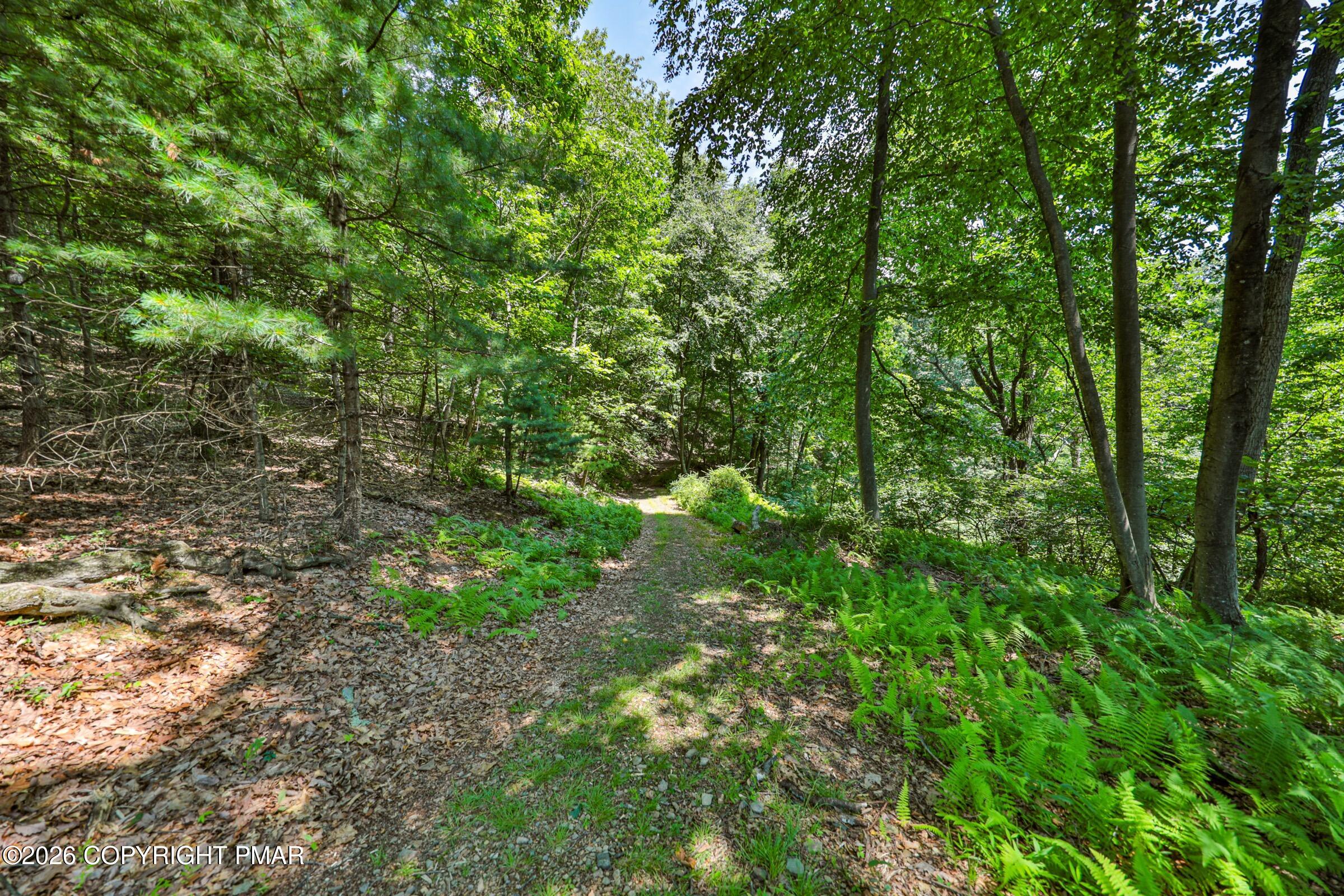 169 Dogwood Lane