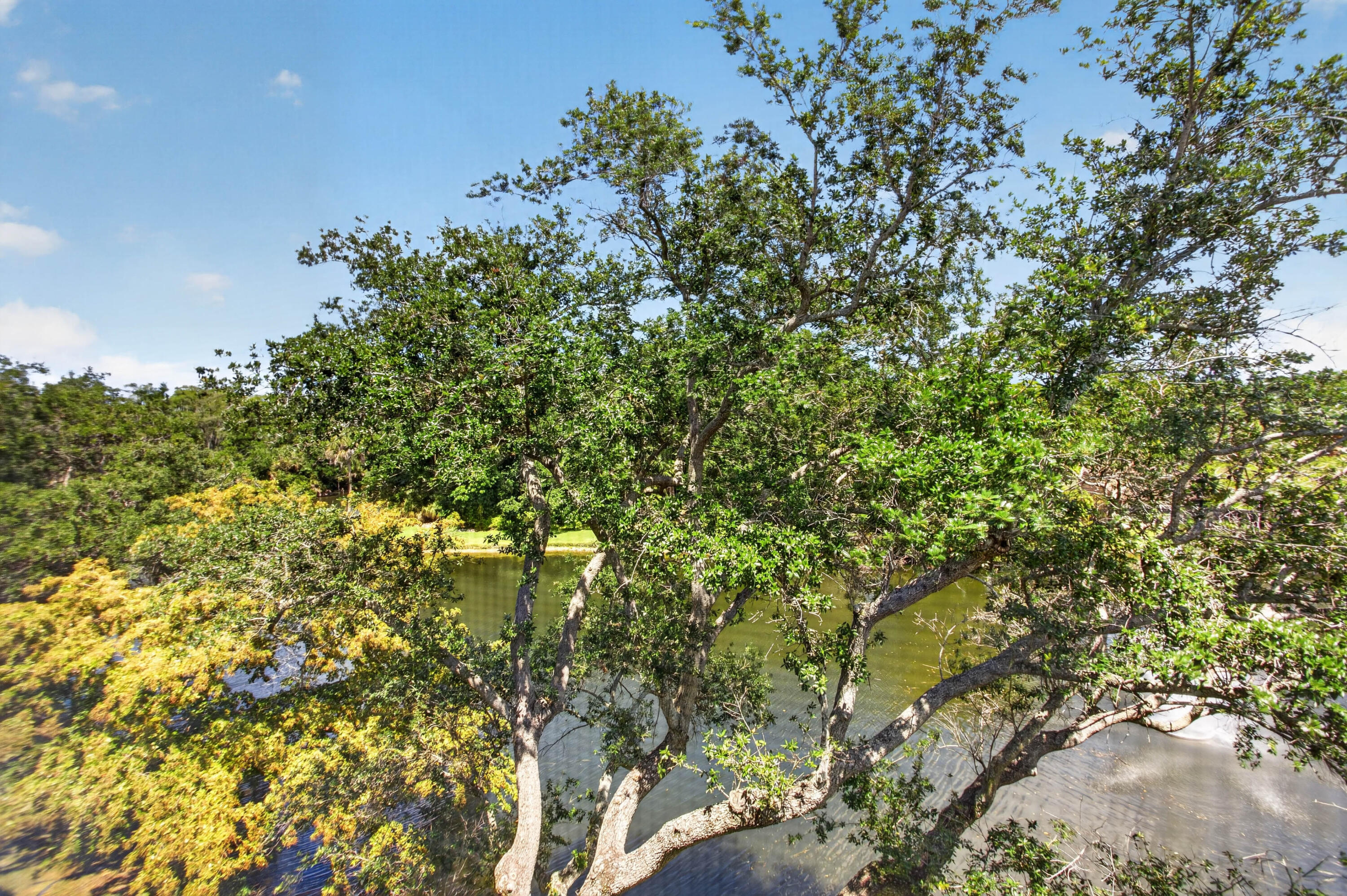 1862 Hammock Blvd 416