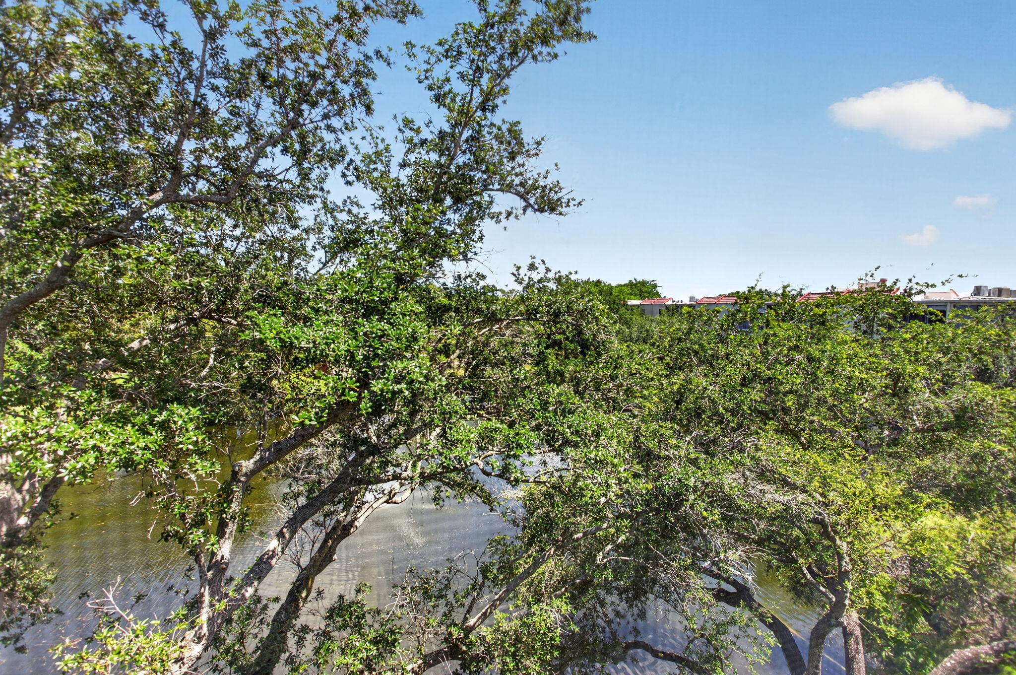 1862 Hammock Blvd 416