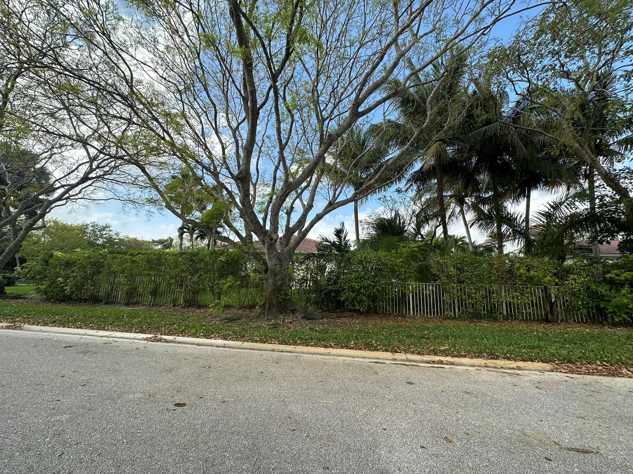 903 NW 118th Way