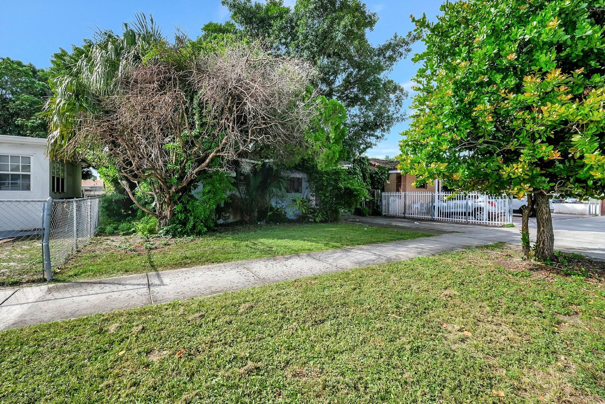 Home partly hidden by mature trees, with a grassy front yard and sidewalk.