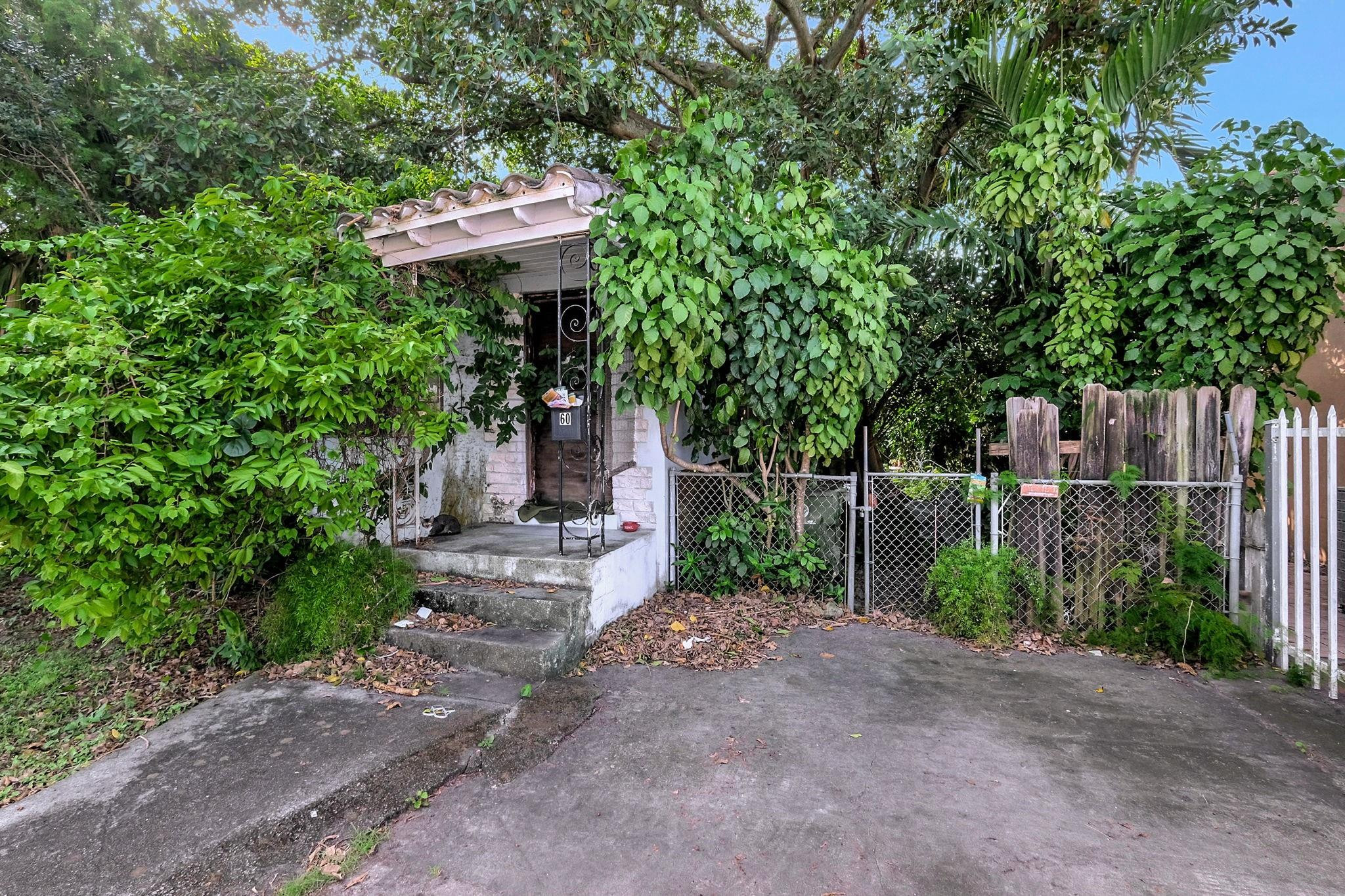 House entrance partly hidden by dense greenery, with concrete steps and a fenced driveway.