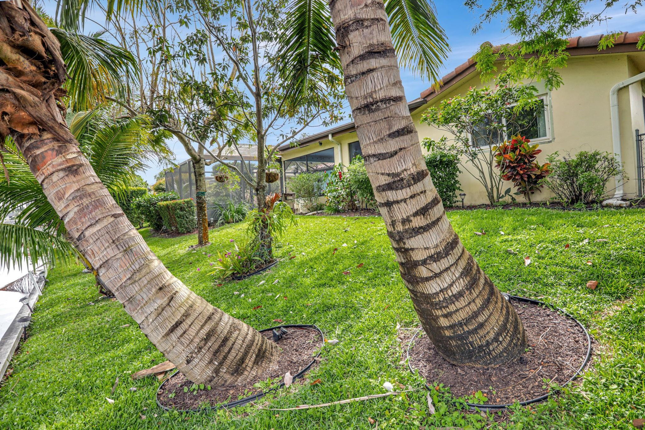 530 NW 43rd Avenue