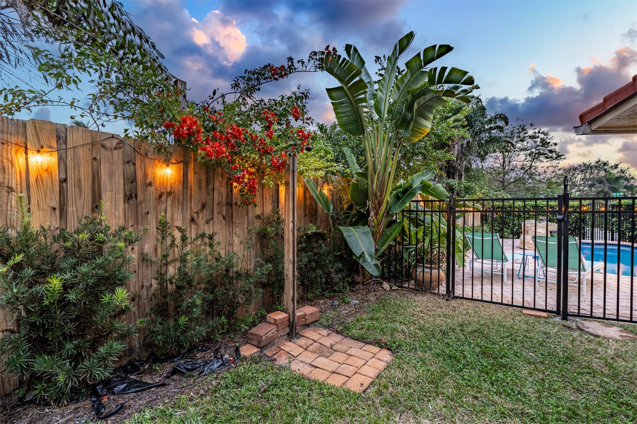 Backyard pool area with tropical plants, flowering vines, a lit wooden fence, and lounge chairs.