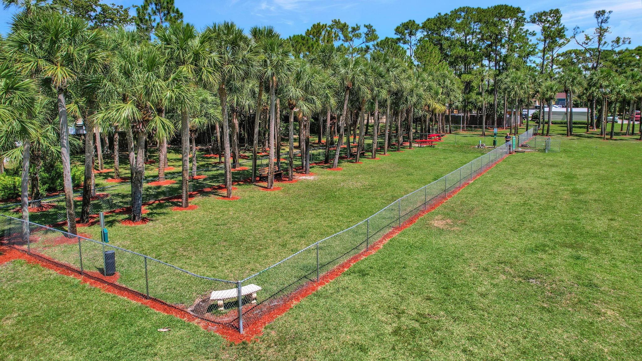 Fenced grassy dog park shaded by palms, with picnic tables and benches.