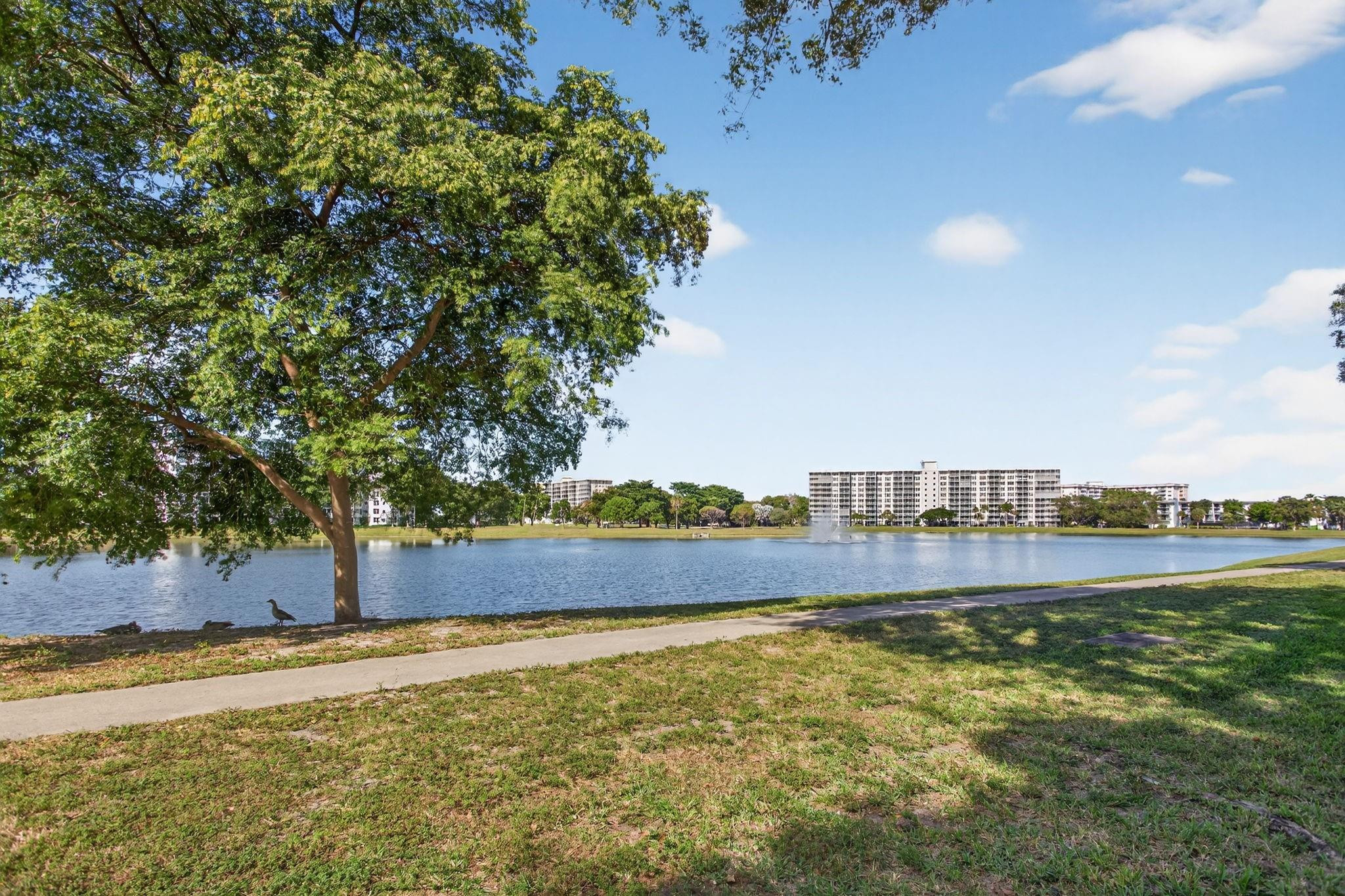 2801 N Palm Aire Drive 203