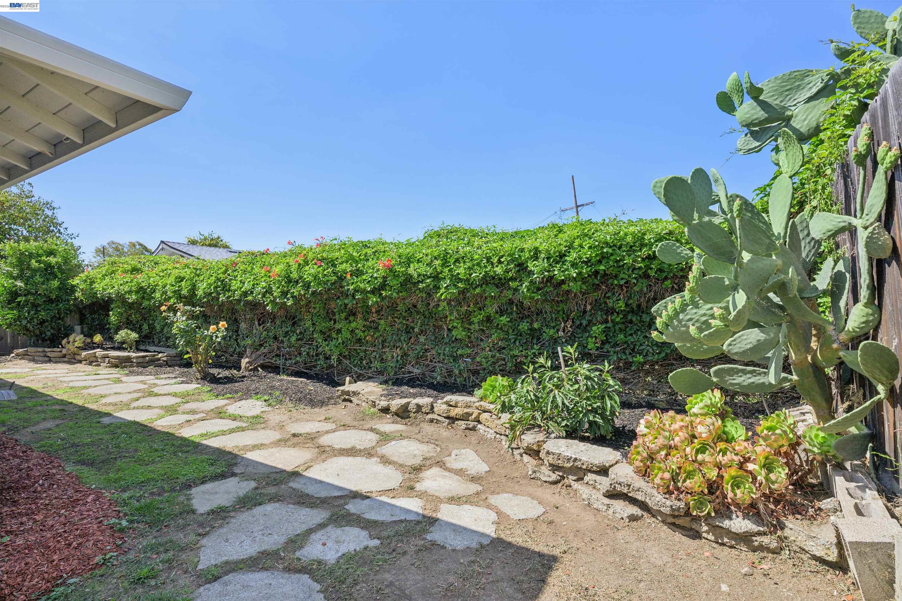 Landscaped yard with a stone path, flowering hedge, large prickly pear cactus, and succulents.