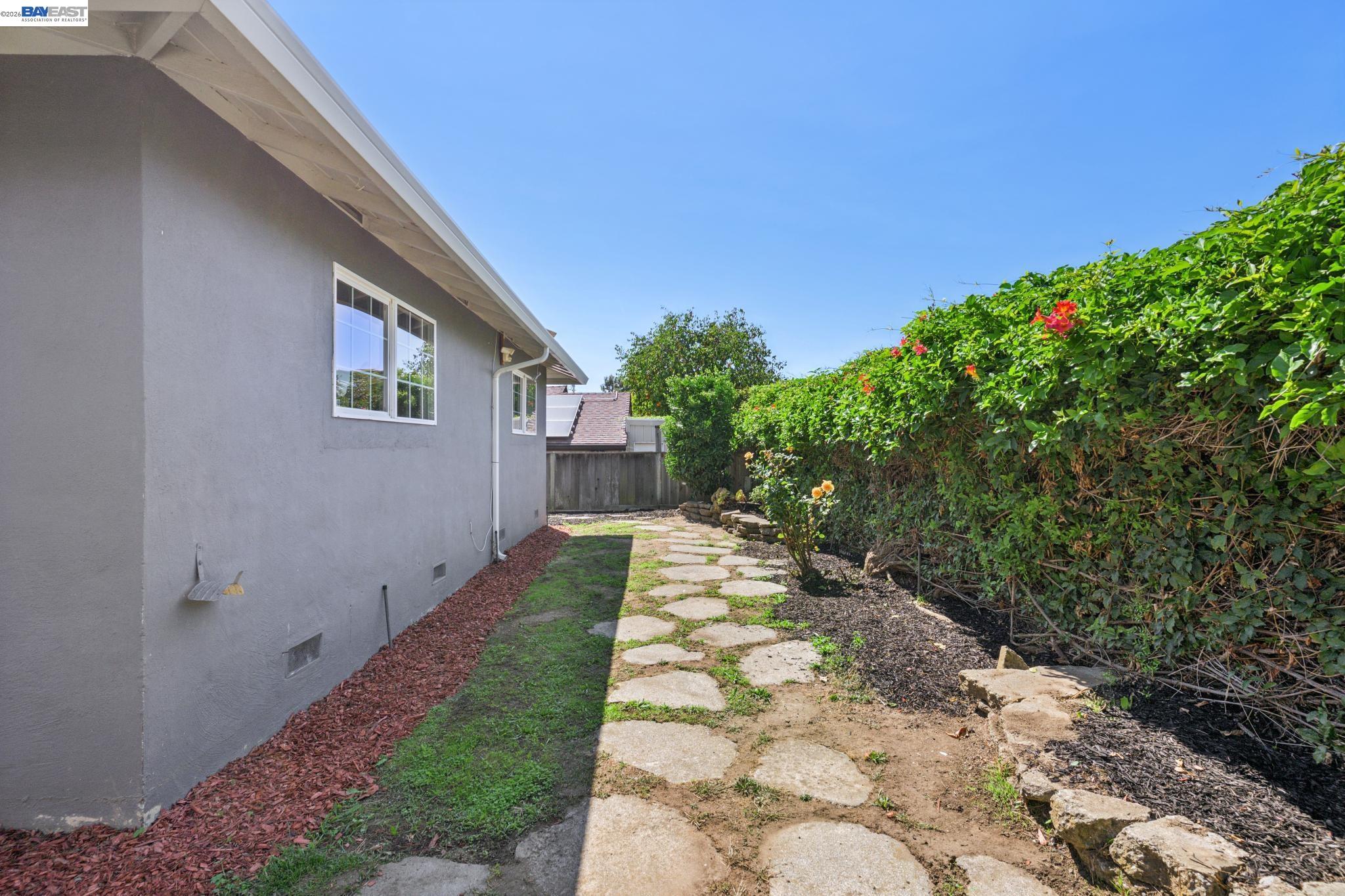 Side yard with a stone path beside a gray stucco house and tall flowering hedge.