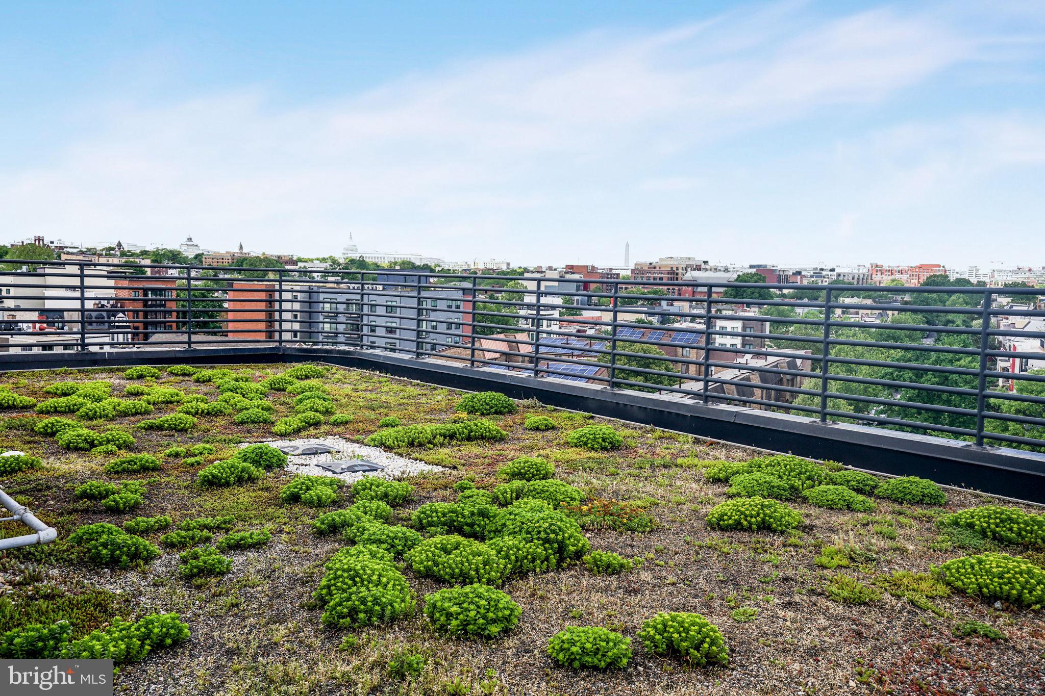 1111 ORREN STREET NE Unit: 310