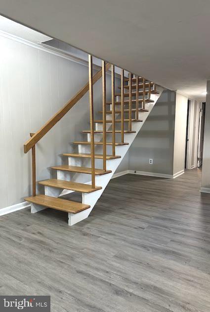 1 Schindler Ct