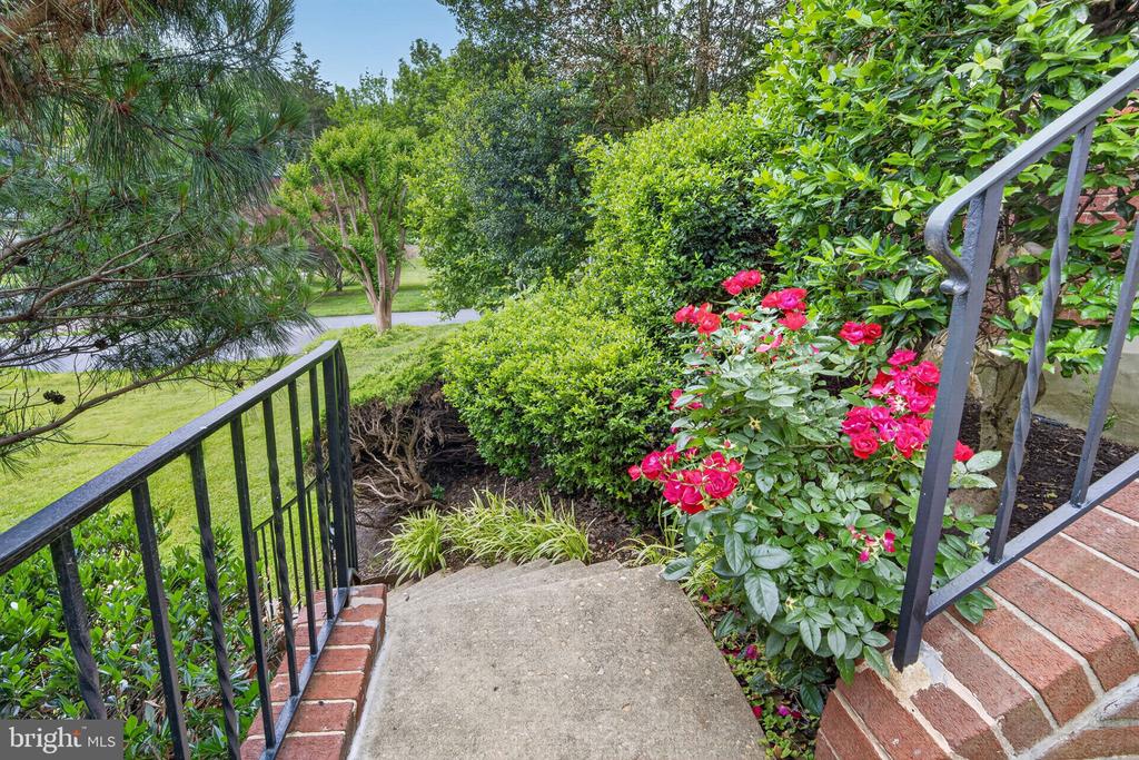 12704 THERESA DRIVE