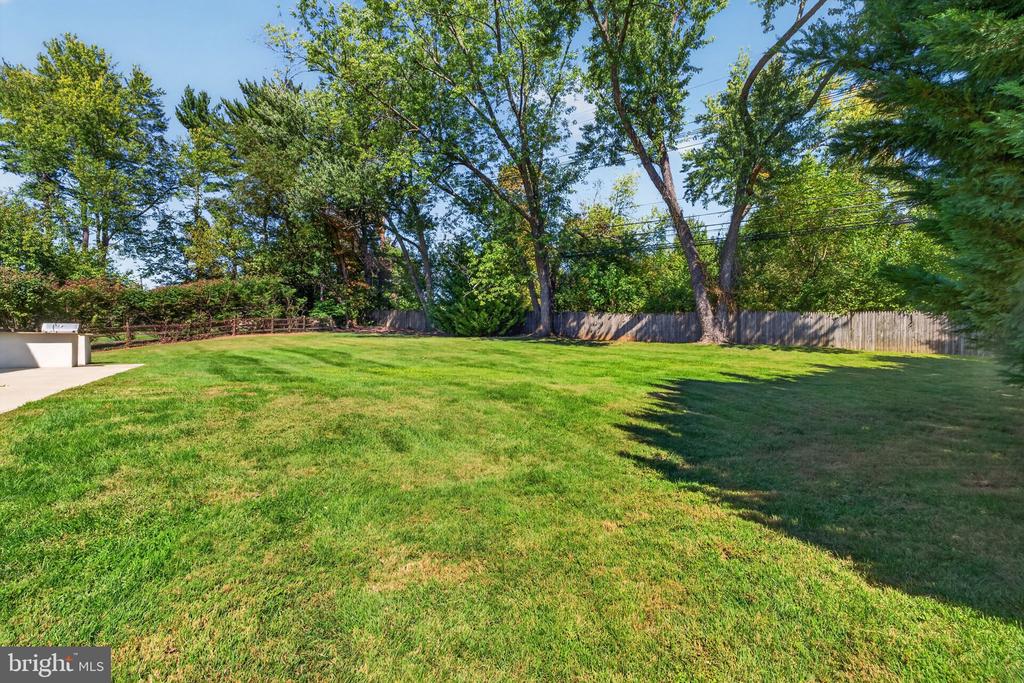 Spacious backyard with a broad lawn, mature trees, and wooden privacy fence.