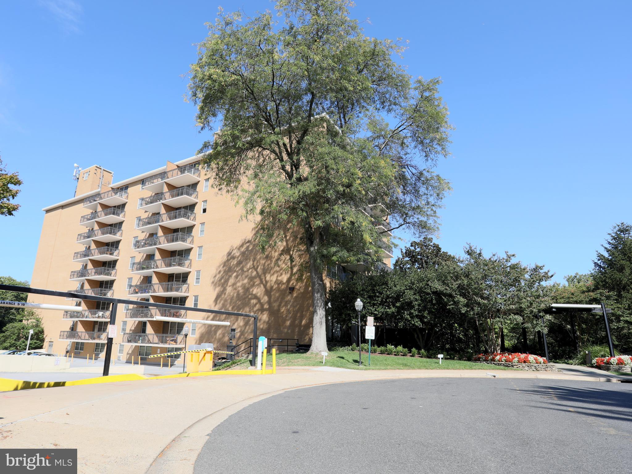 2030 N Adams St #805