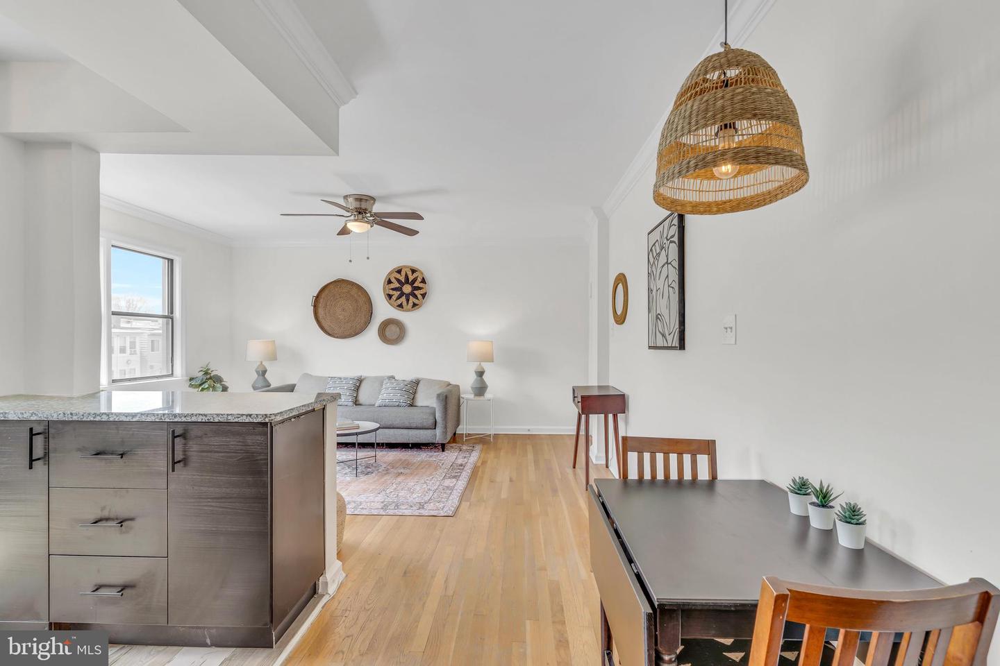 613 HAMLIN STREET NE Unit: 11