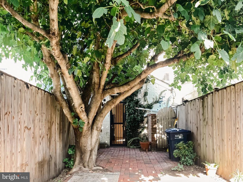 604 14TH PL NE