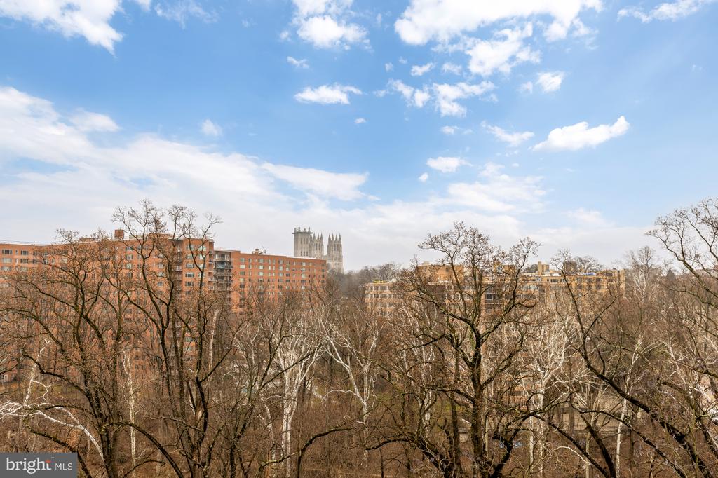 4201 CATHEDRAL AVENUE NW 1009E