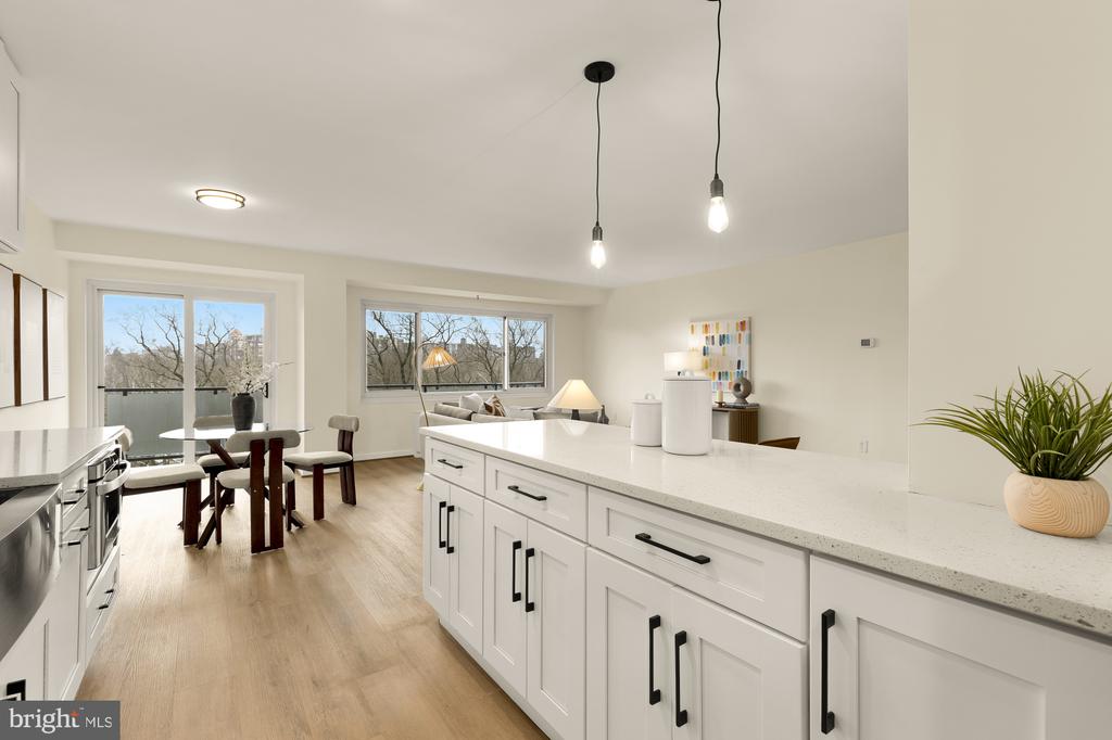 4201 CATHEDRAL AVENUE NW 1009E