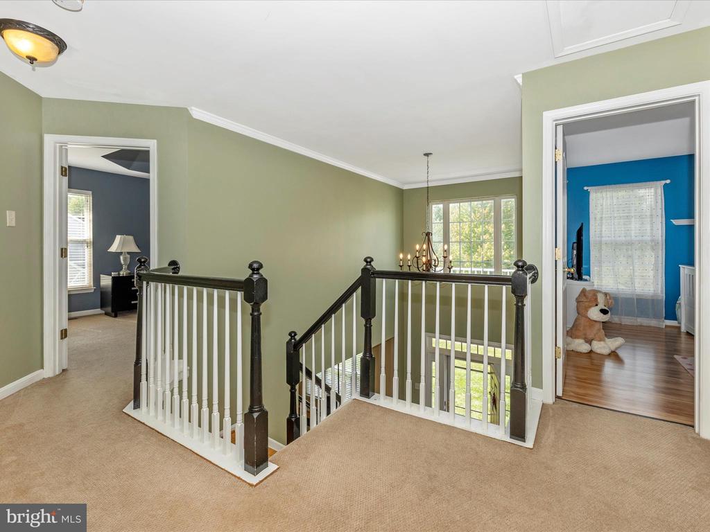 13205 MANOR
