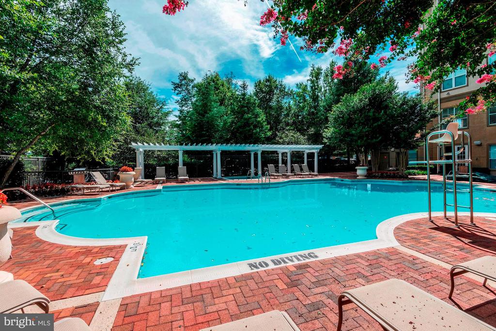 11750 Old Georgetown Rd #2420