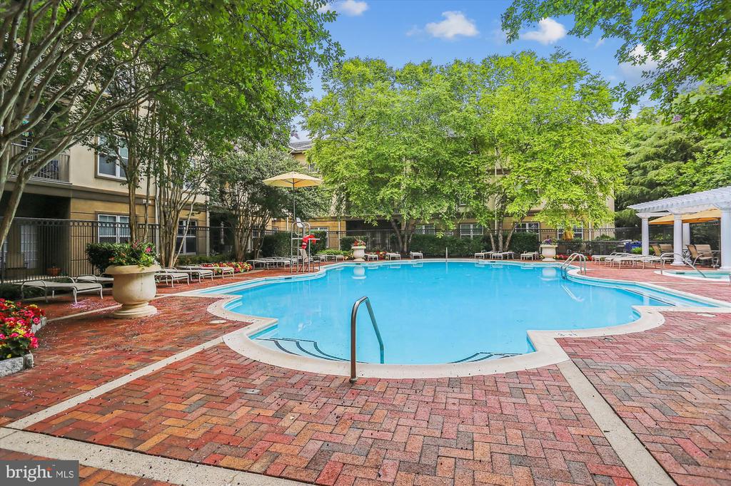 11750 Old Georgetown Rd #2420
