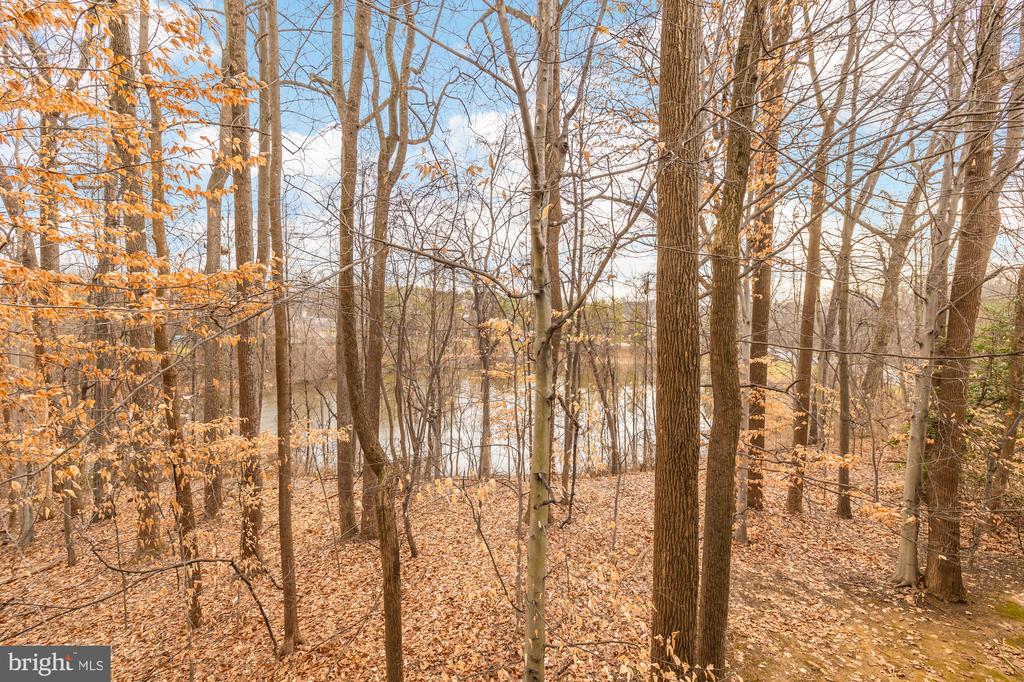 10705 Hampton Mill Ter #210