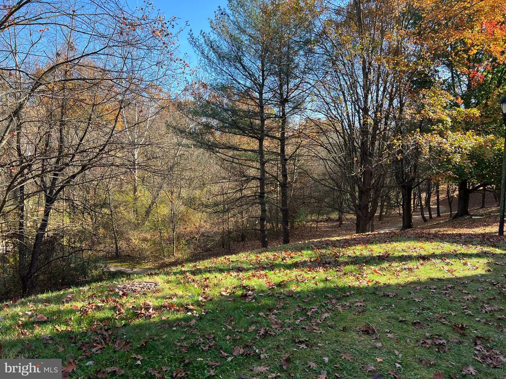 903 Hillside Lake Ter #602