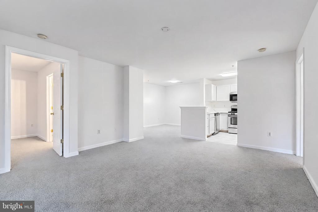 18711 SPARKLING WATER DRIVE Unit: F