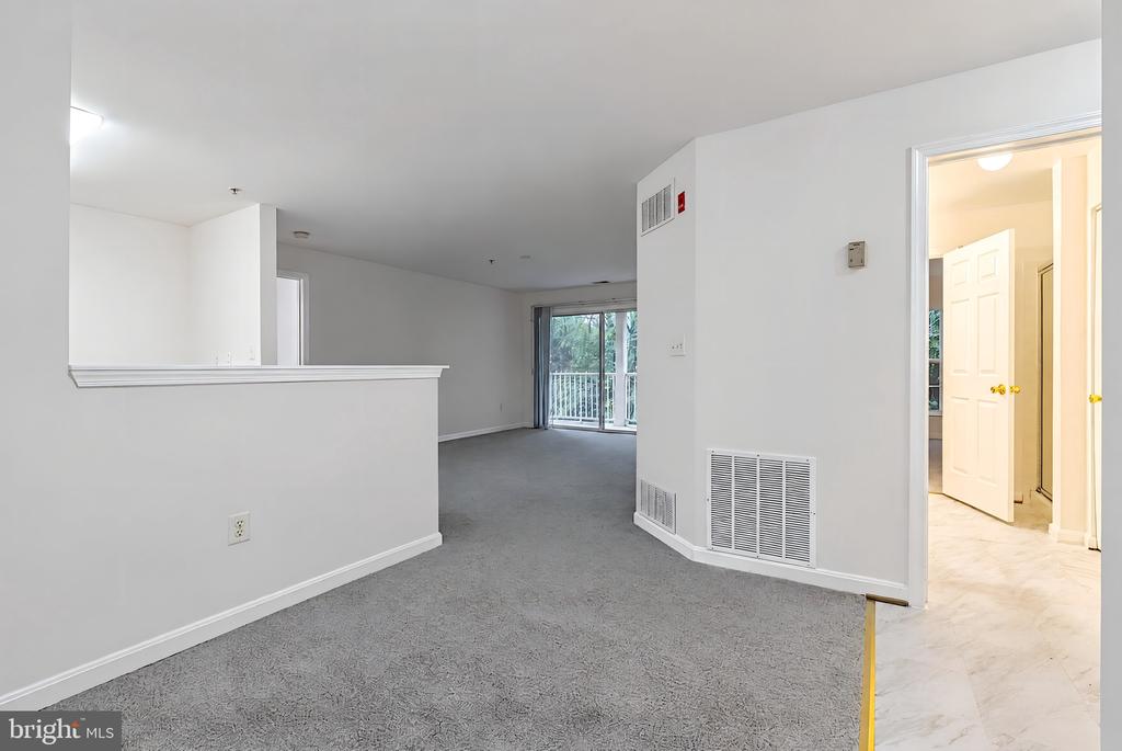 18711 SPARKLING WATER DRIVE Unit: F