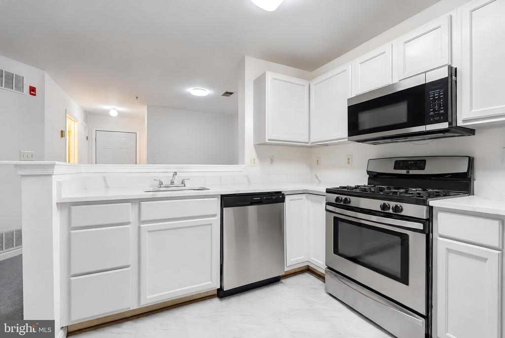 18711 SPARKLING WATER DRIVE Unit: F