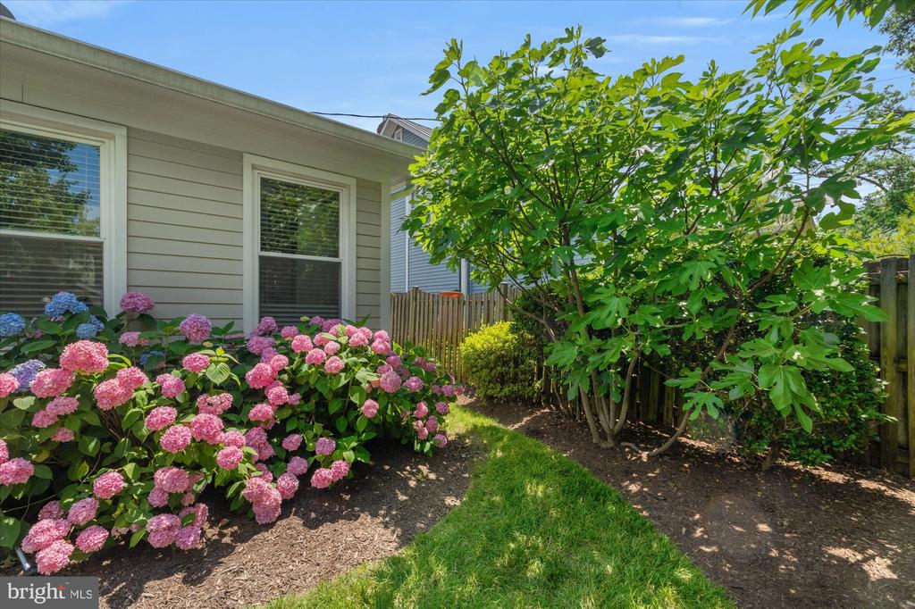 12 E WINDSOR AVENUE