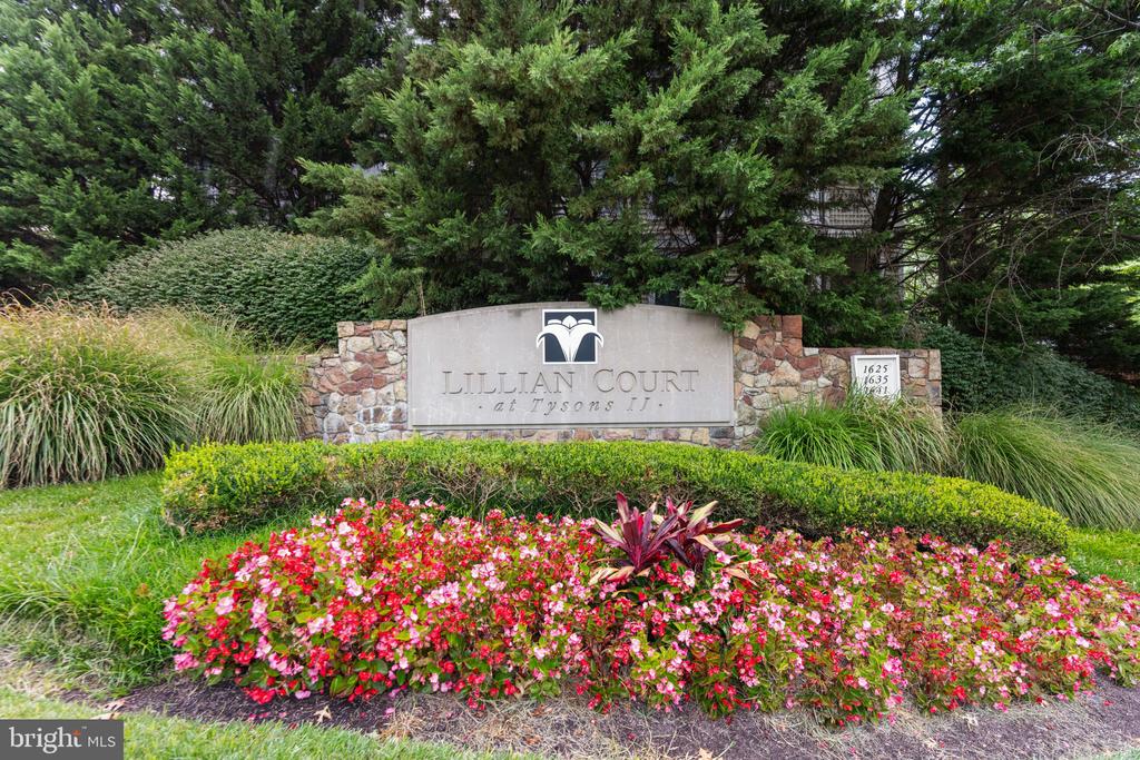 1641 International Dr #315