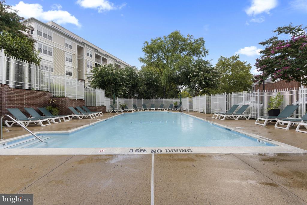1641 International Dr #315