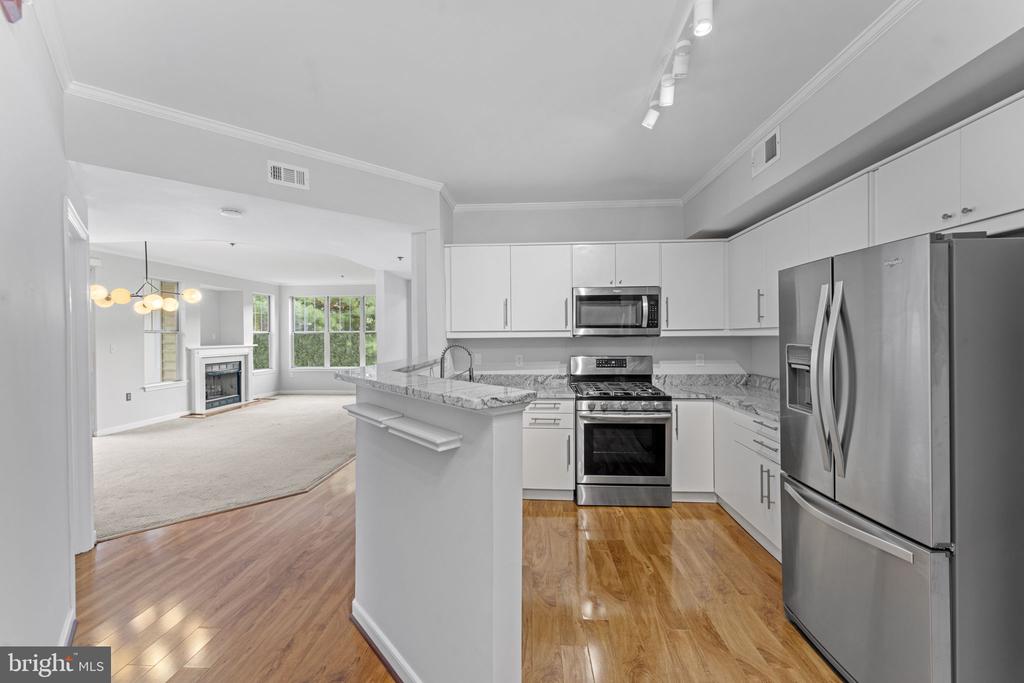 1641 International Dr #315
