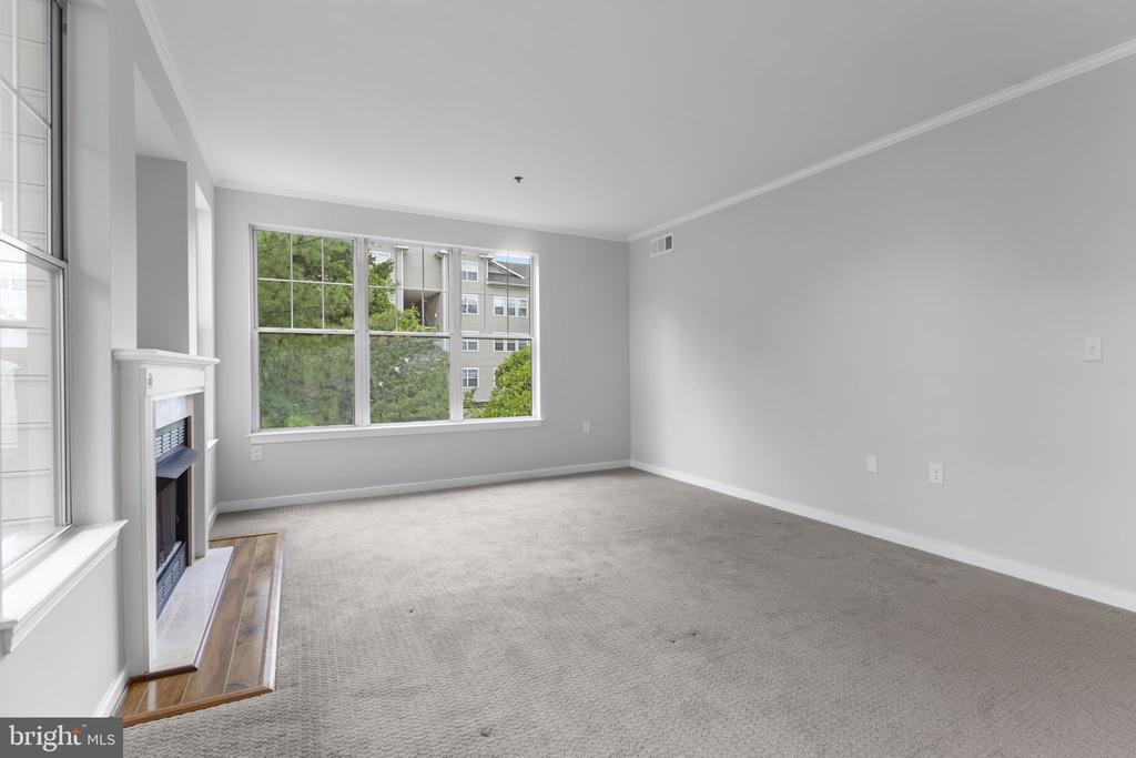 1641 International Dr #315
