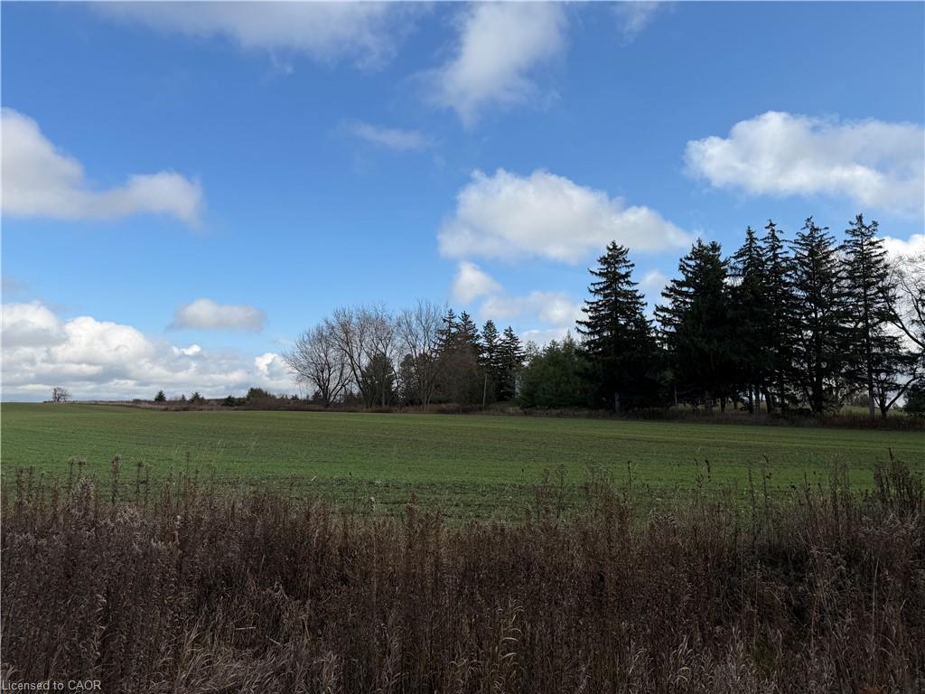 PLAN 363 PT LOT 88 Cobalt Street