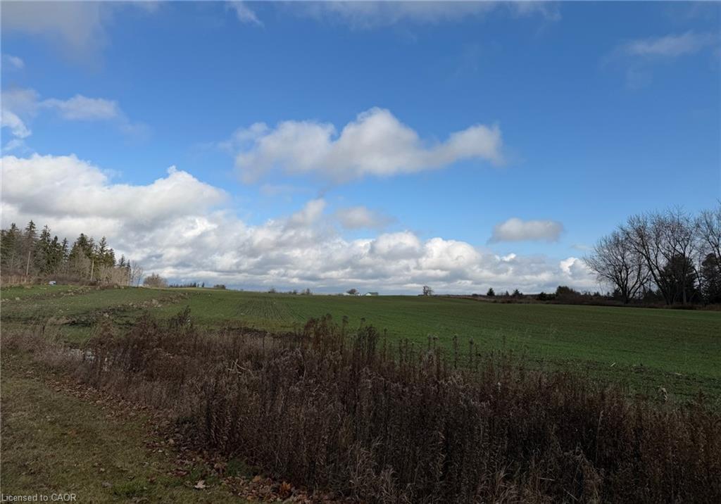 PLAN 363 PT LOT 88 Cobalt Street