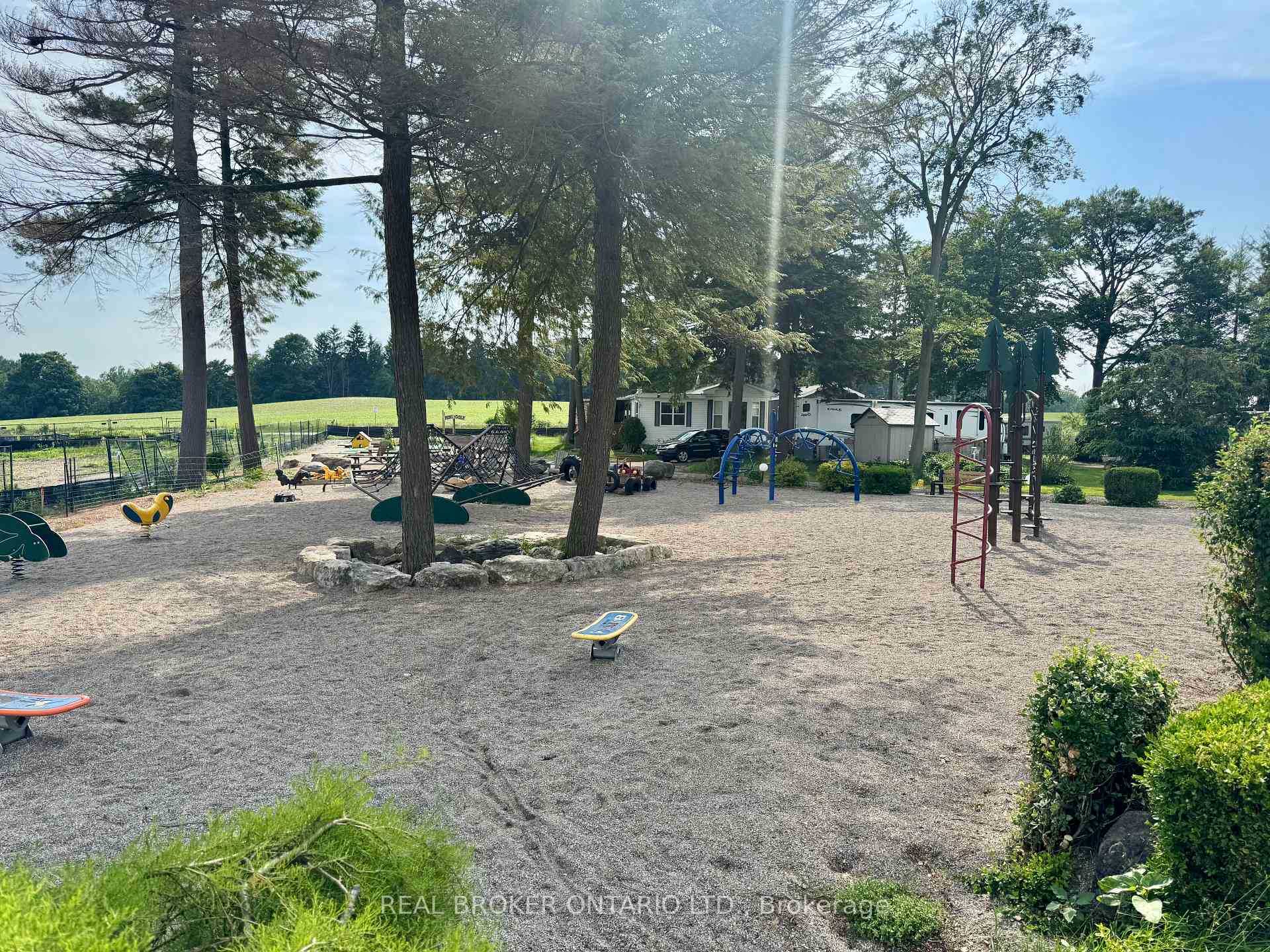 Playground with climbing equipment and spring riders beneath mature trees.