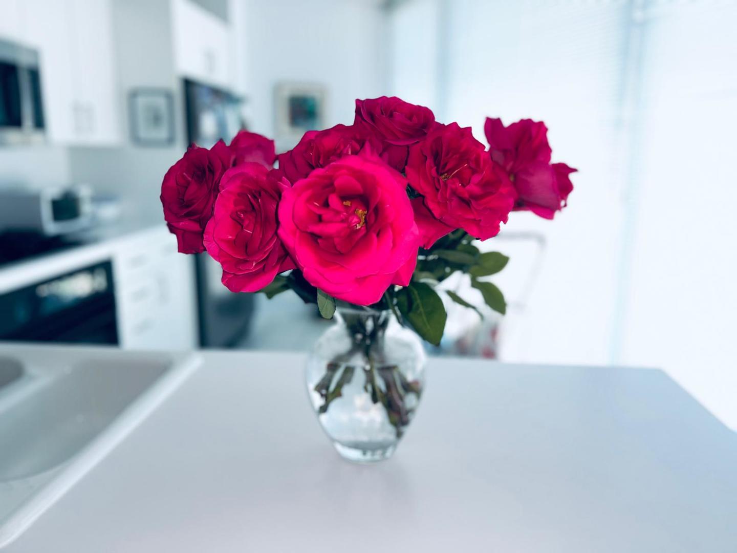 1720 Maple Avenue Unit: 1320