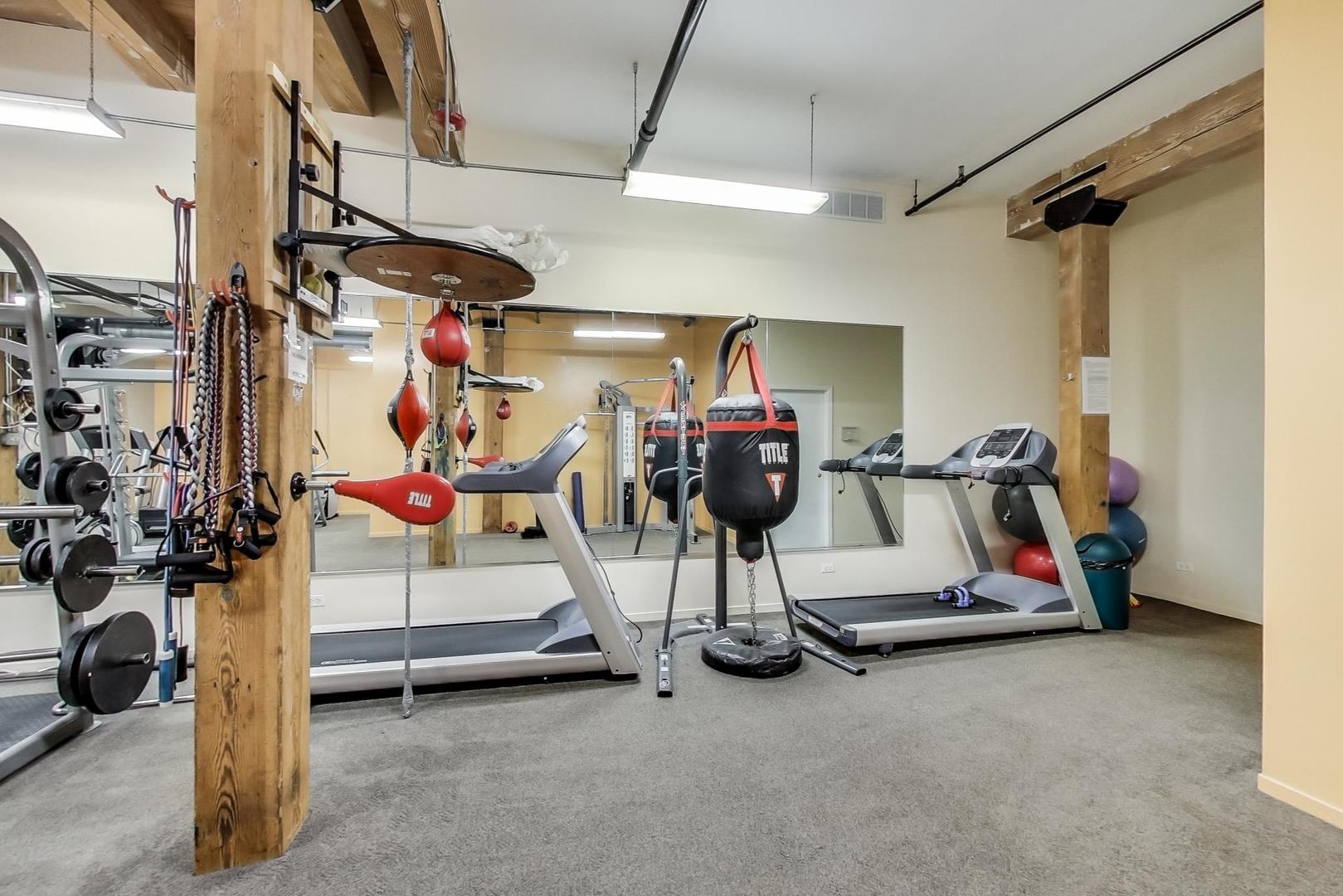 1728 N Damen Avenue Unit: 215