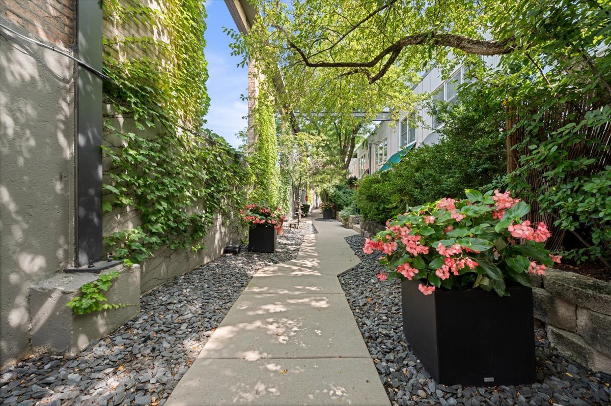 1300 W ALTGELD Street Unit: 126