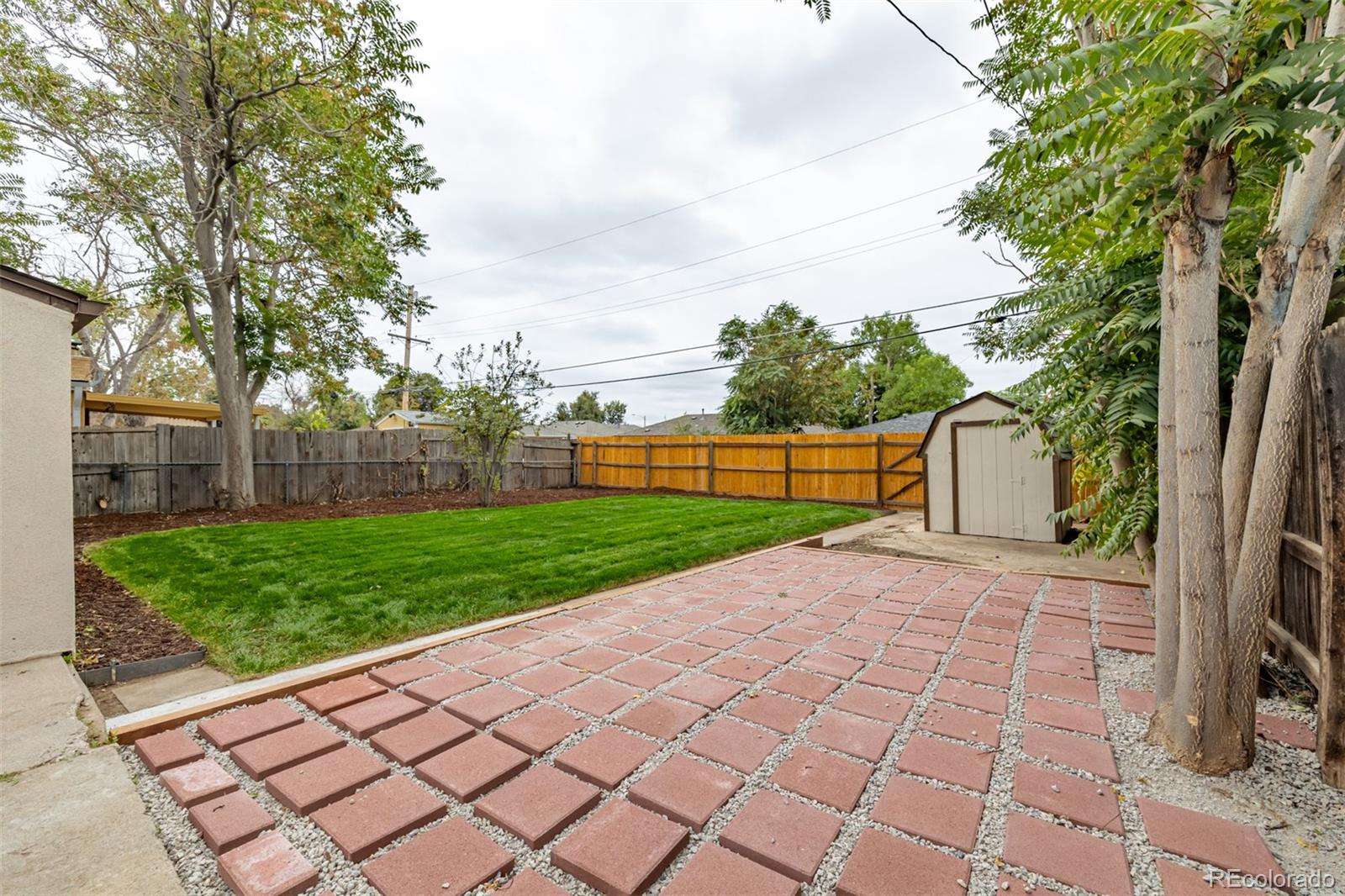 1167 Alton Street