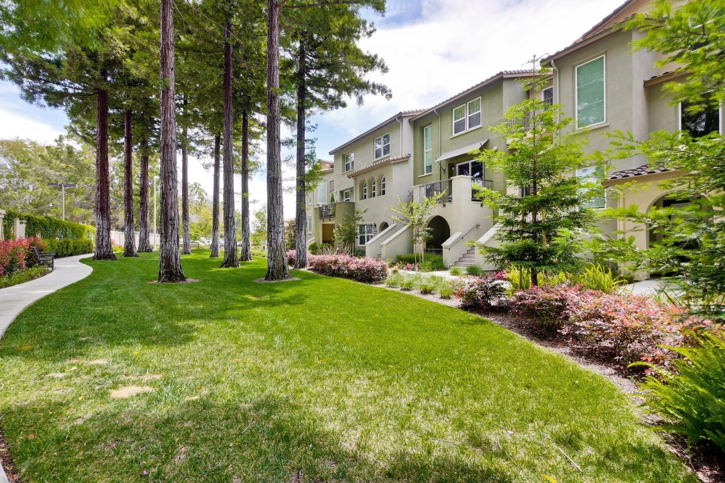 577 San Rivera TER