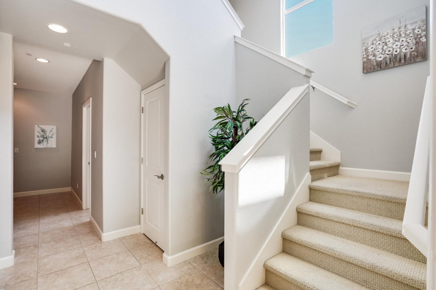 577 San Rivera TER